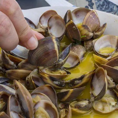 شقة B17 - The Stunning Seaview